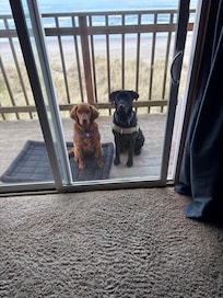 Pup view from master bedroom.