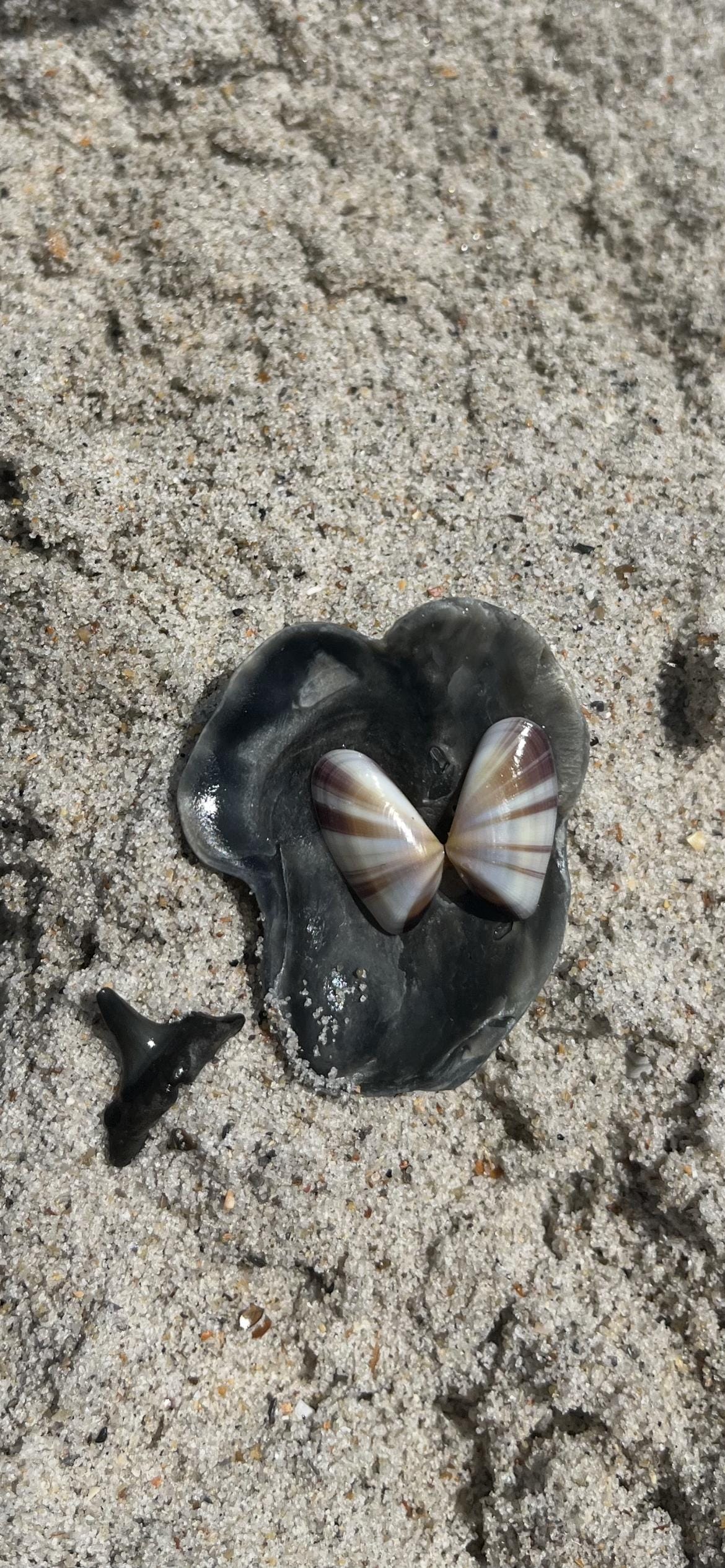 Some of our treasures