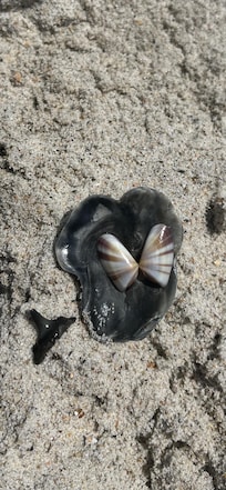 Some of our treasures