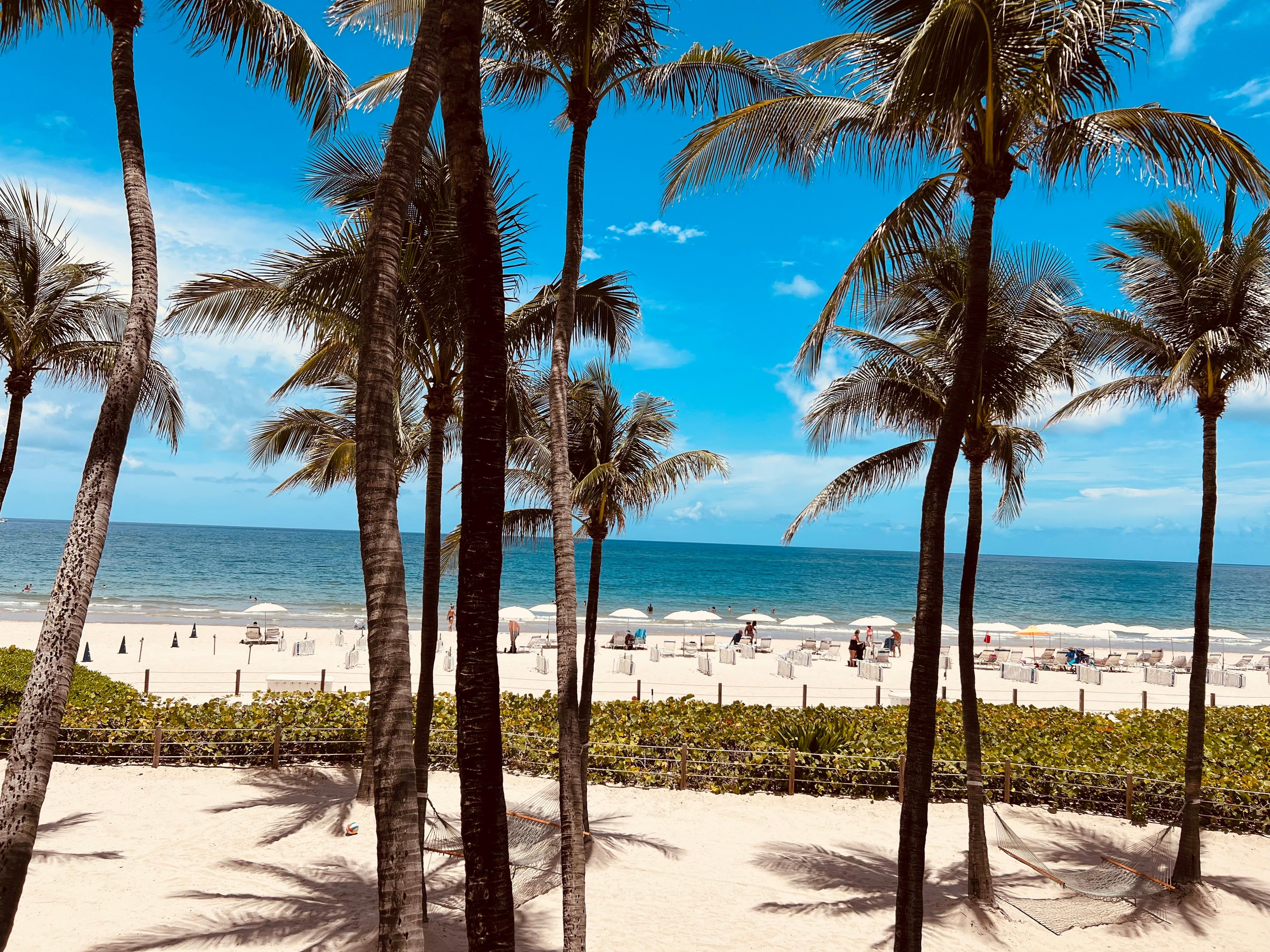 View from our room