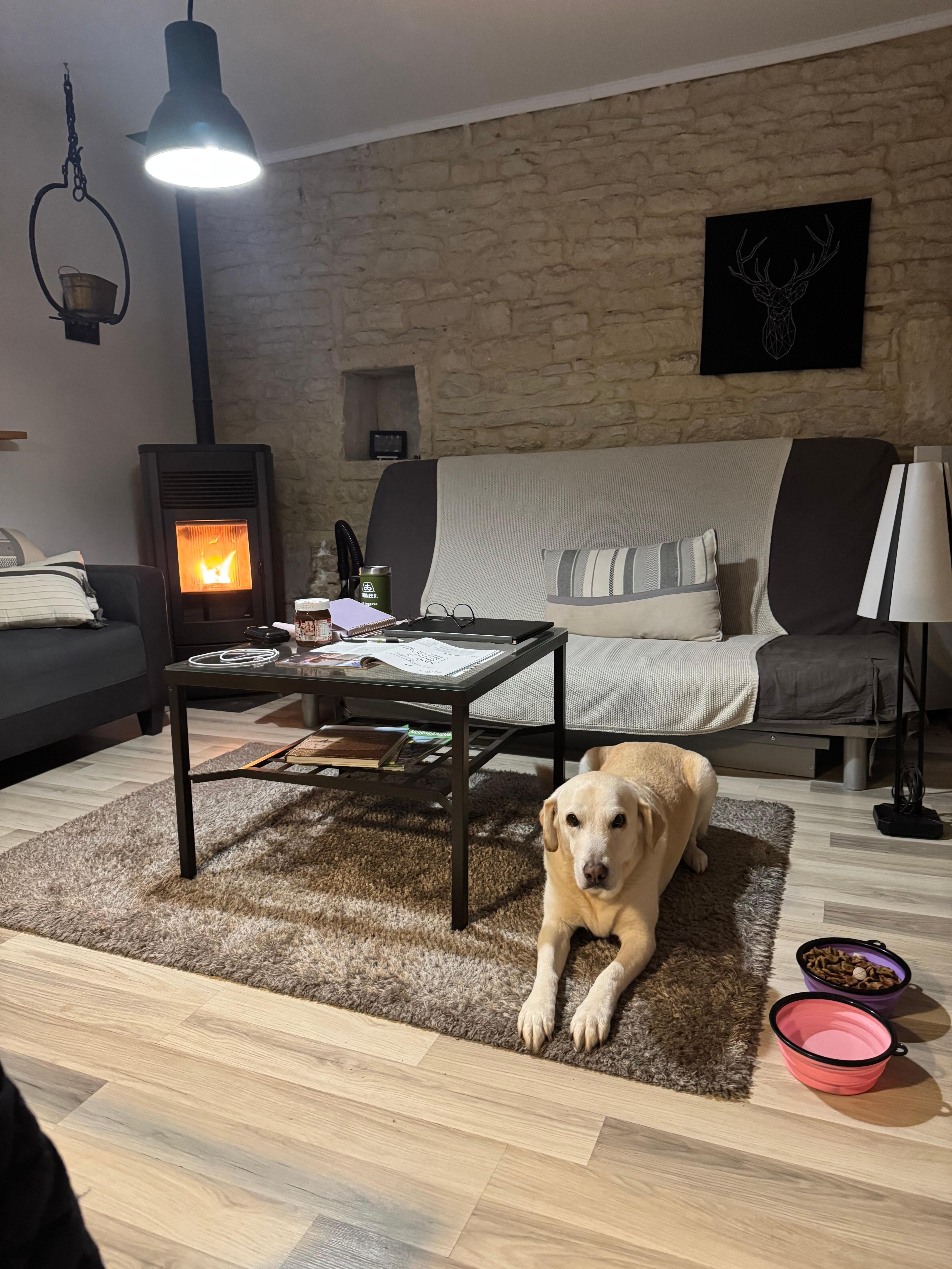 Cozy evenings by the fire.