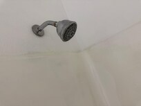 Shower head dirty