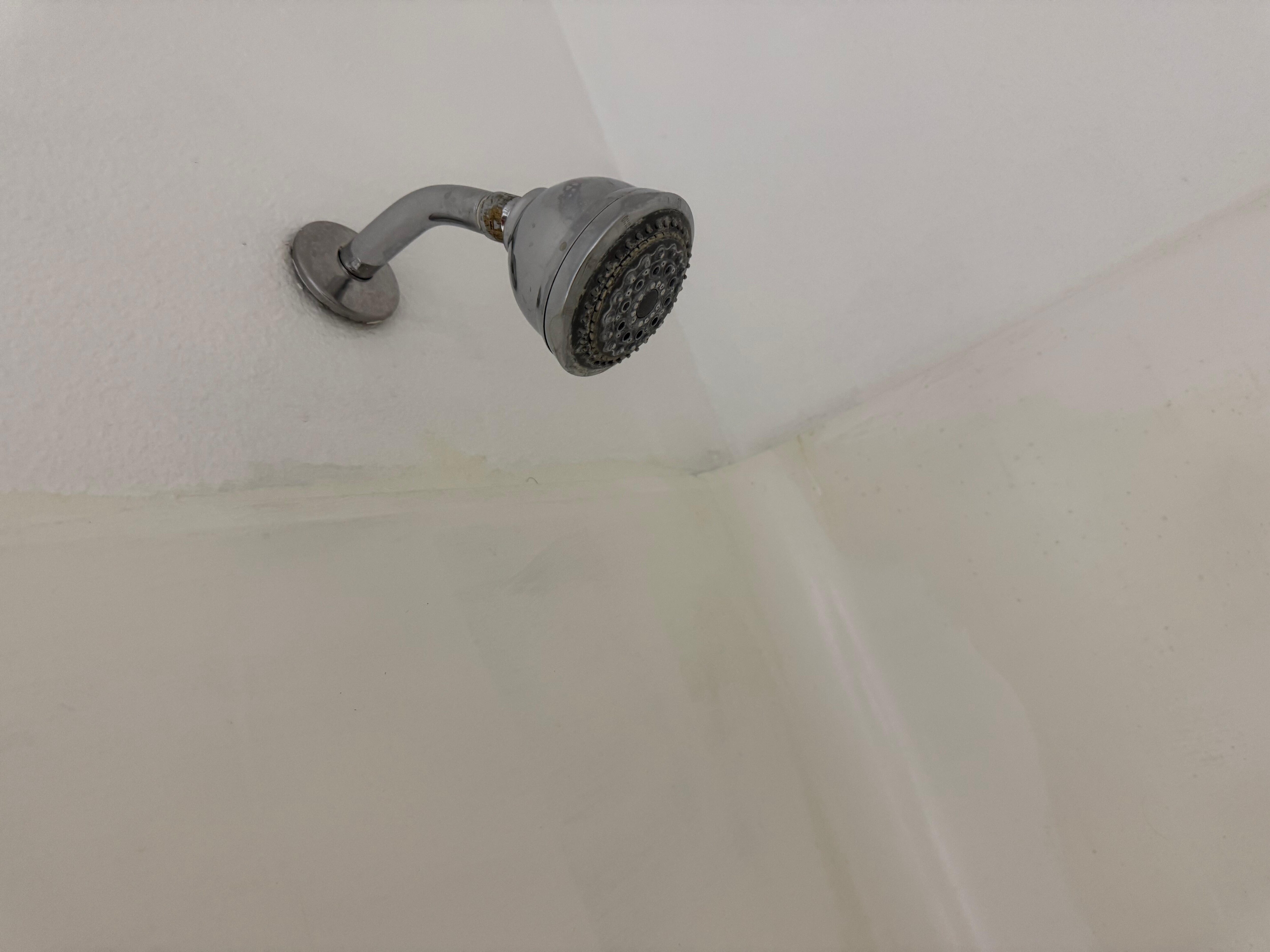 Shower head dirty