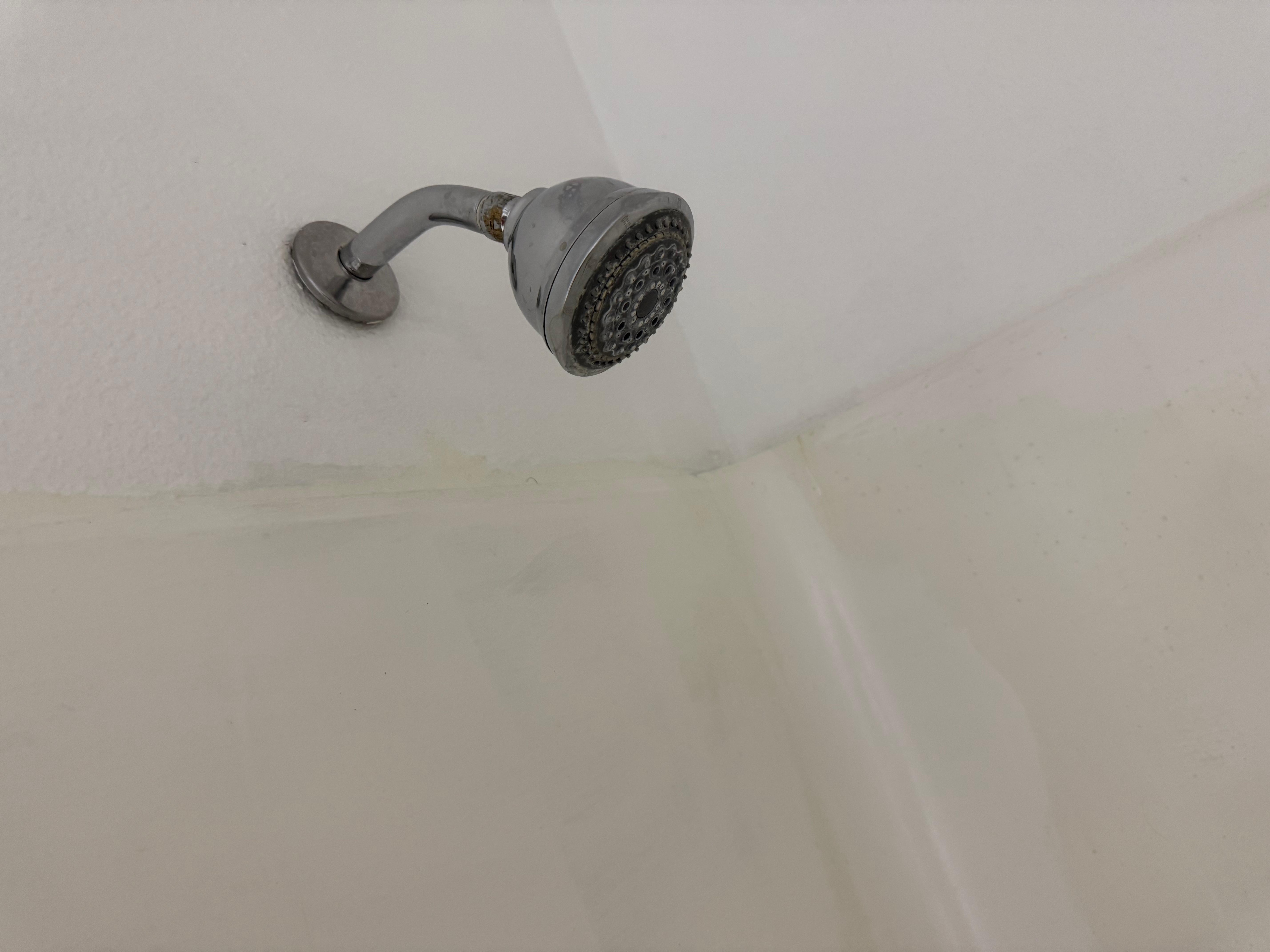Shower head dirty