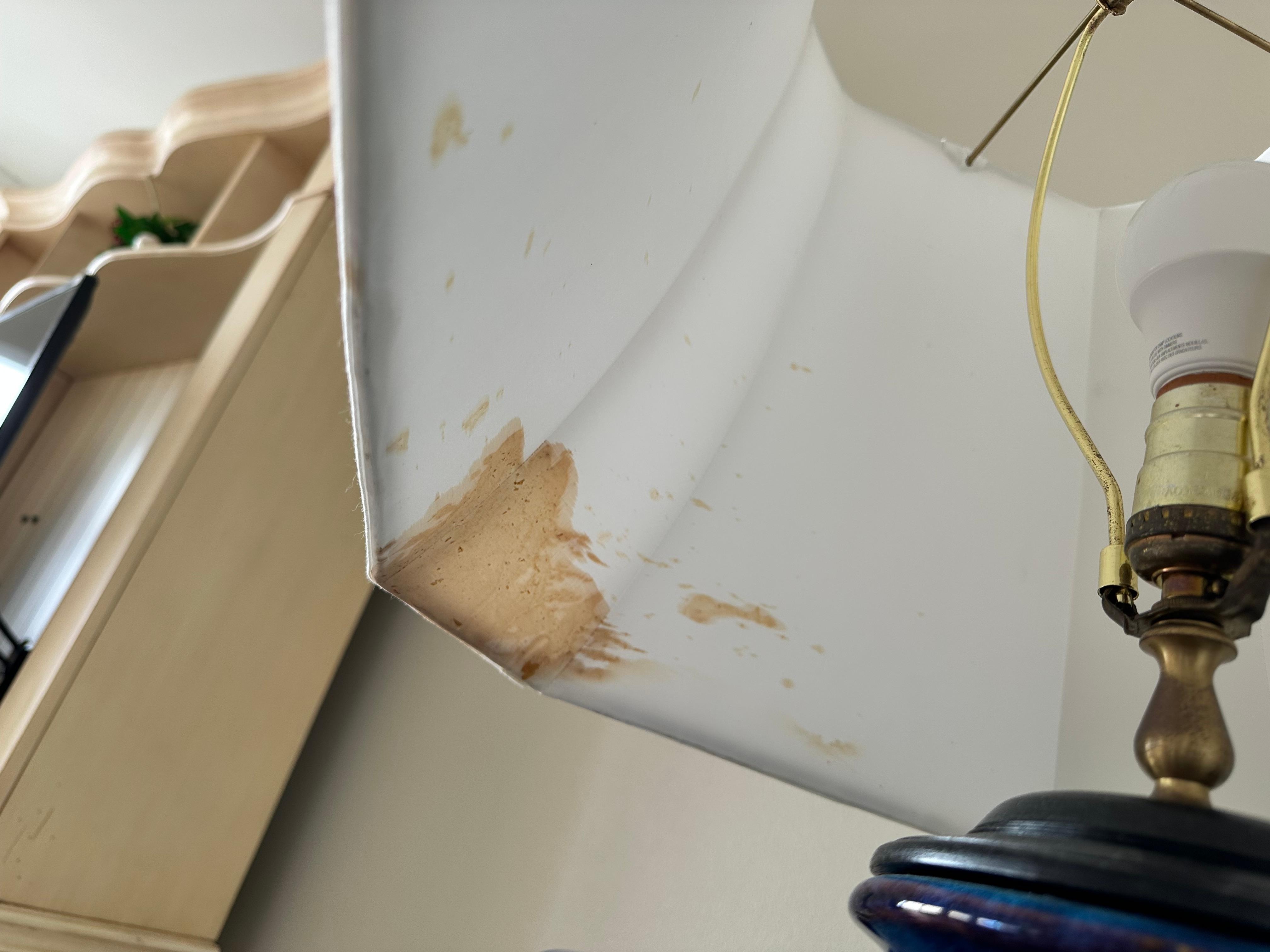 Stained lamp shades