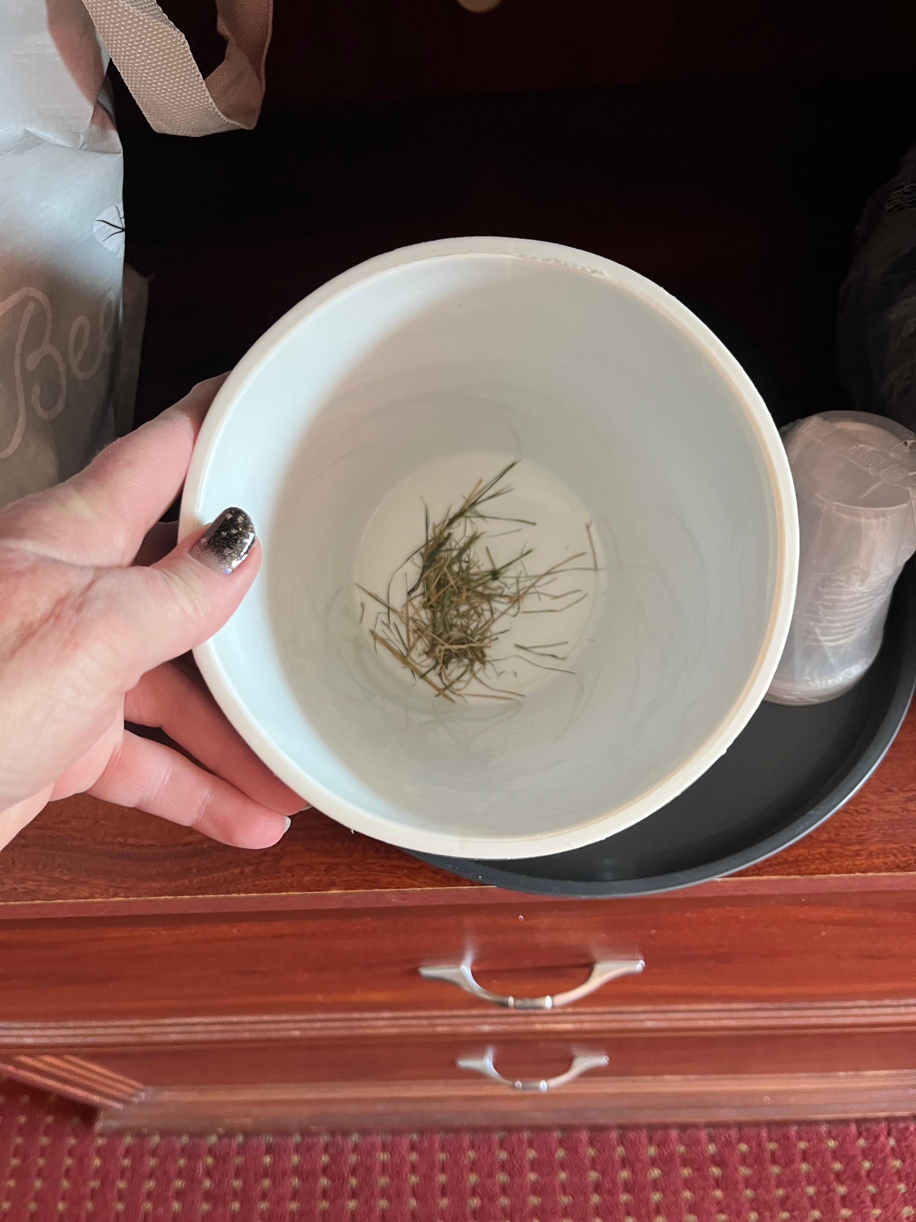 Grass in ice bucket?