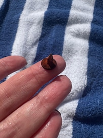 The nail from the pool.