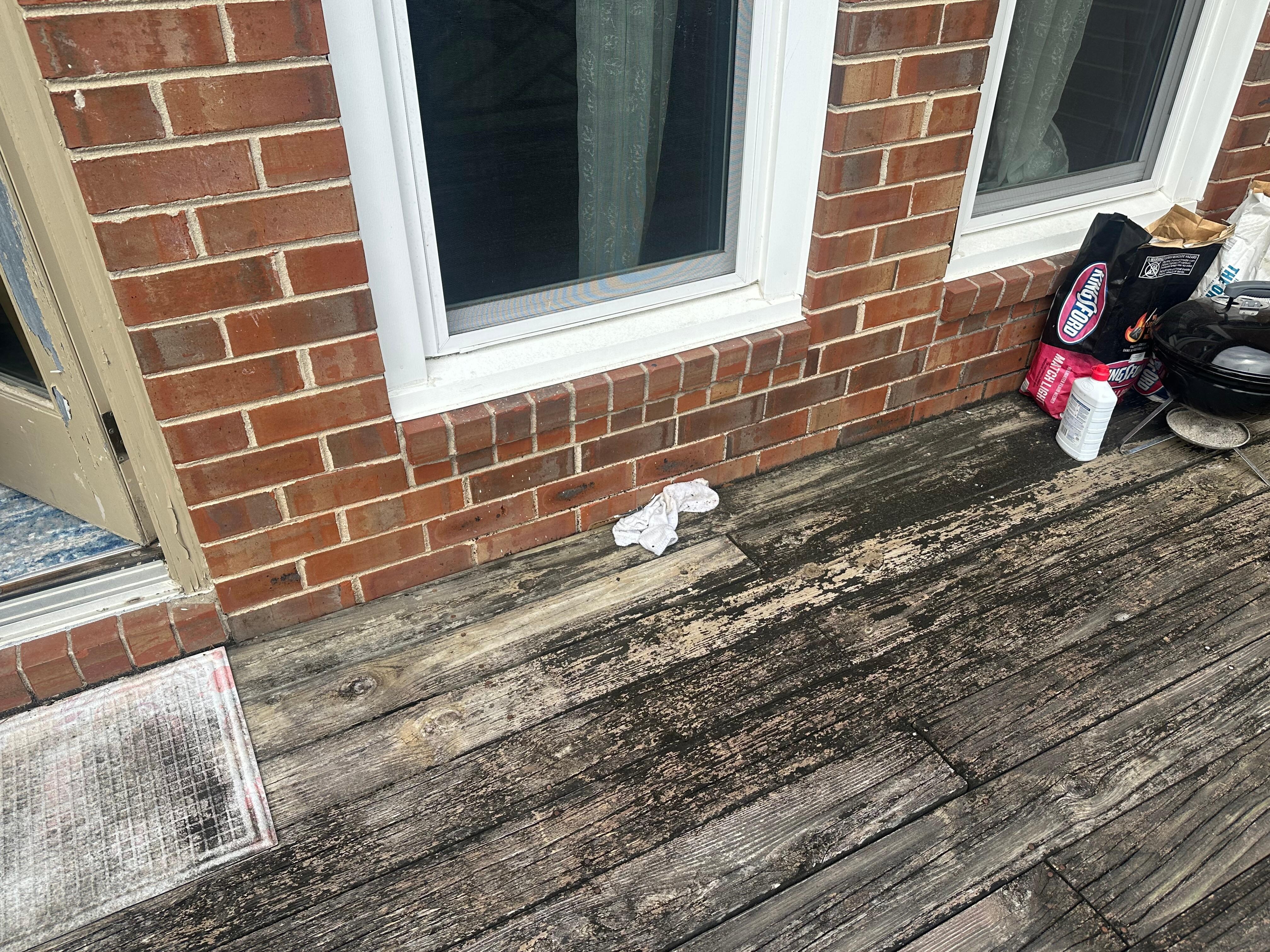 Old socks left on back porch.