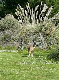 In yard right next to house