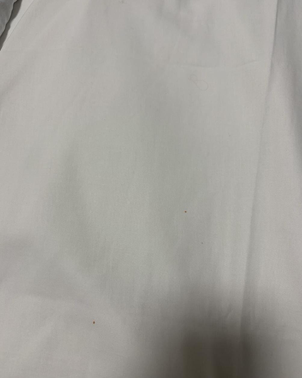 There were a few red spots on the bed sheet and hairs scattered throughout the bed. I cleaned them up as best as I could and used a clean blanket to cover the dirty one.
