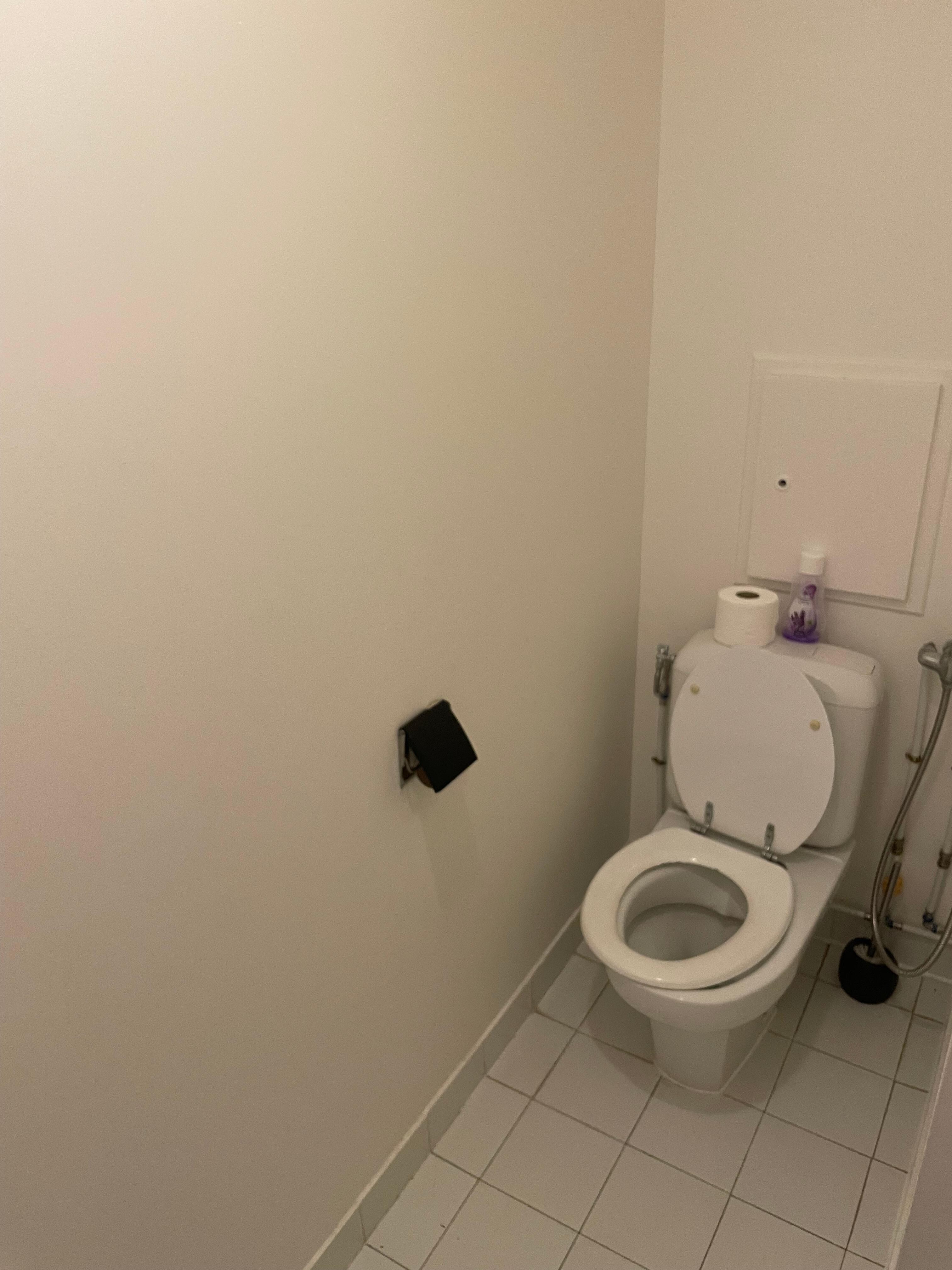 Separate toilet, minimal toilet paper (we had to buy our own)