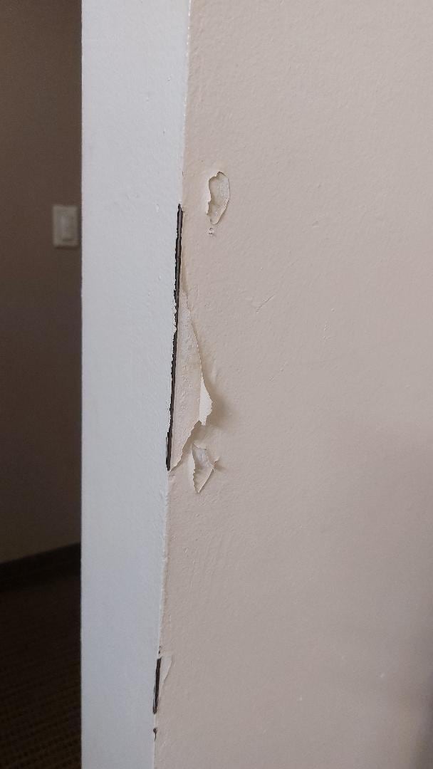 paint peeling off the walls