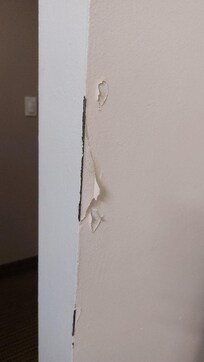 paint peeling off the walls