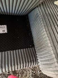 Lifted cushion and found food and toys and dog treats under couch.