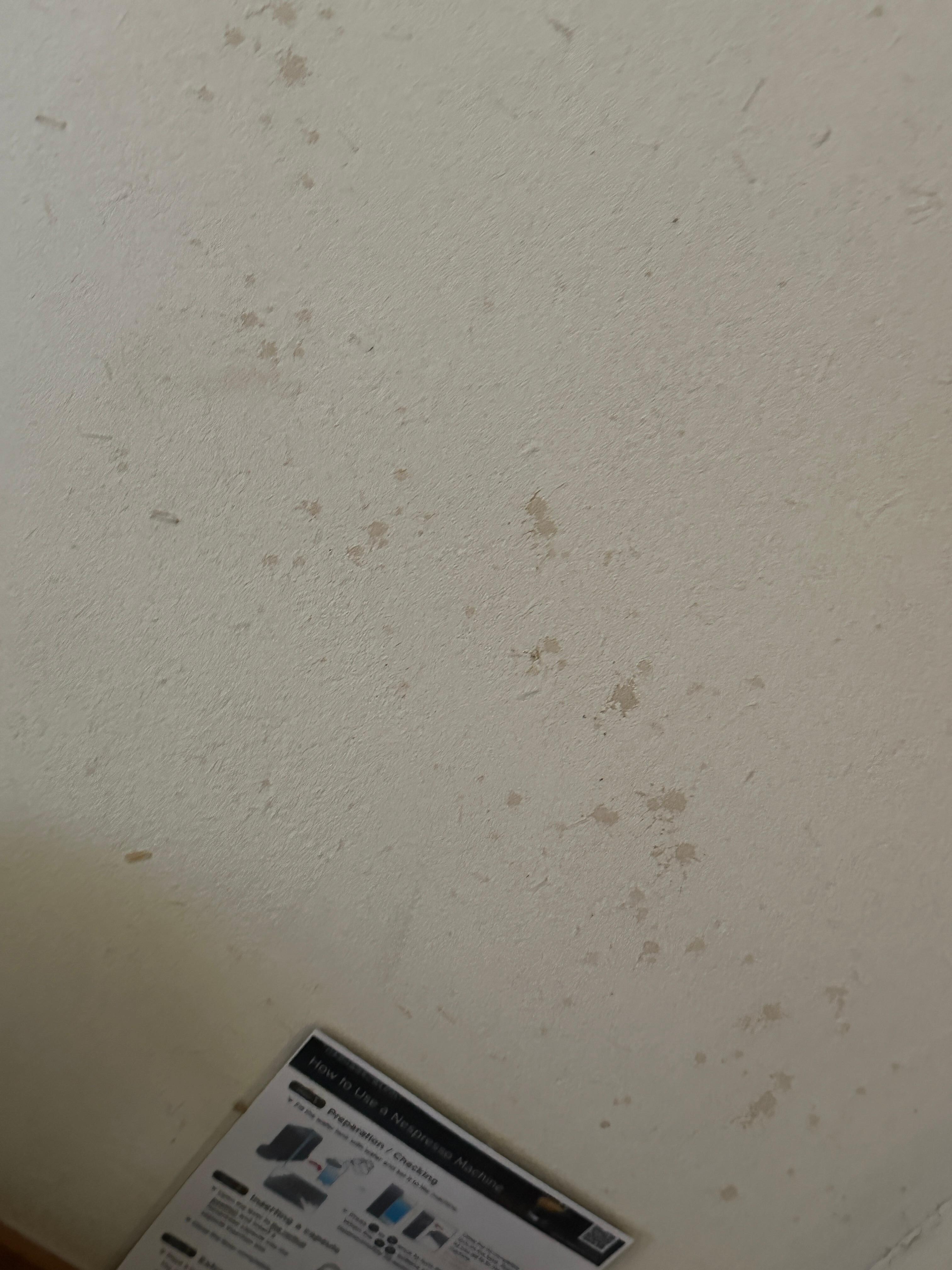 Stains/mold stains on walls and ceiling 