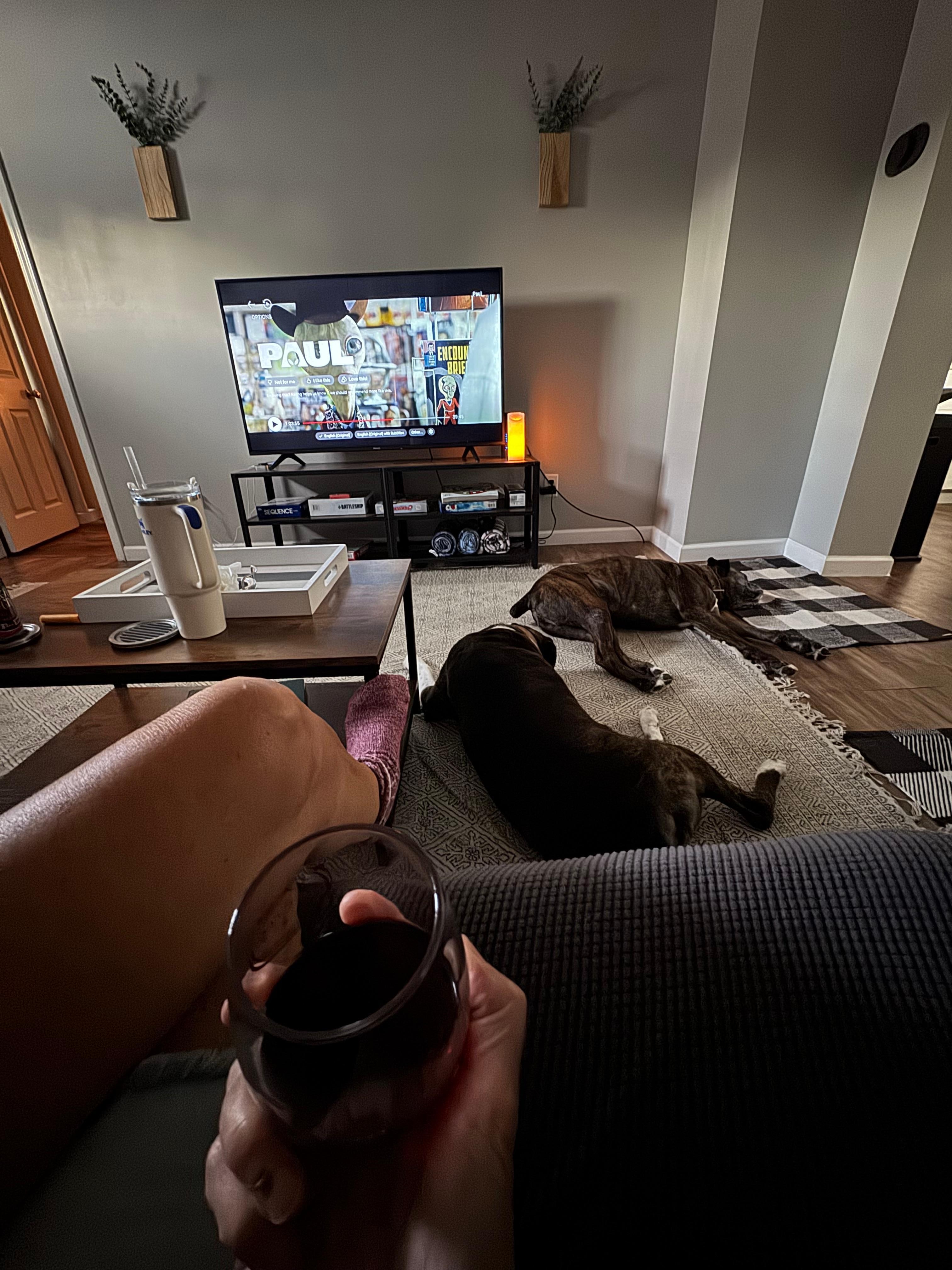 My 2 Boxers loved this house. 