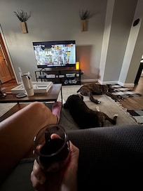 My 2 Boxers loved this house.