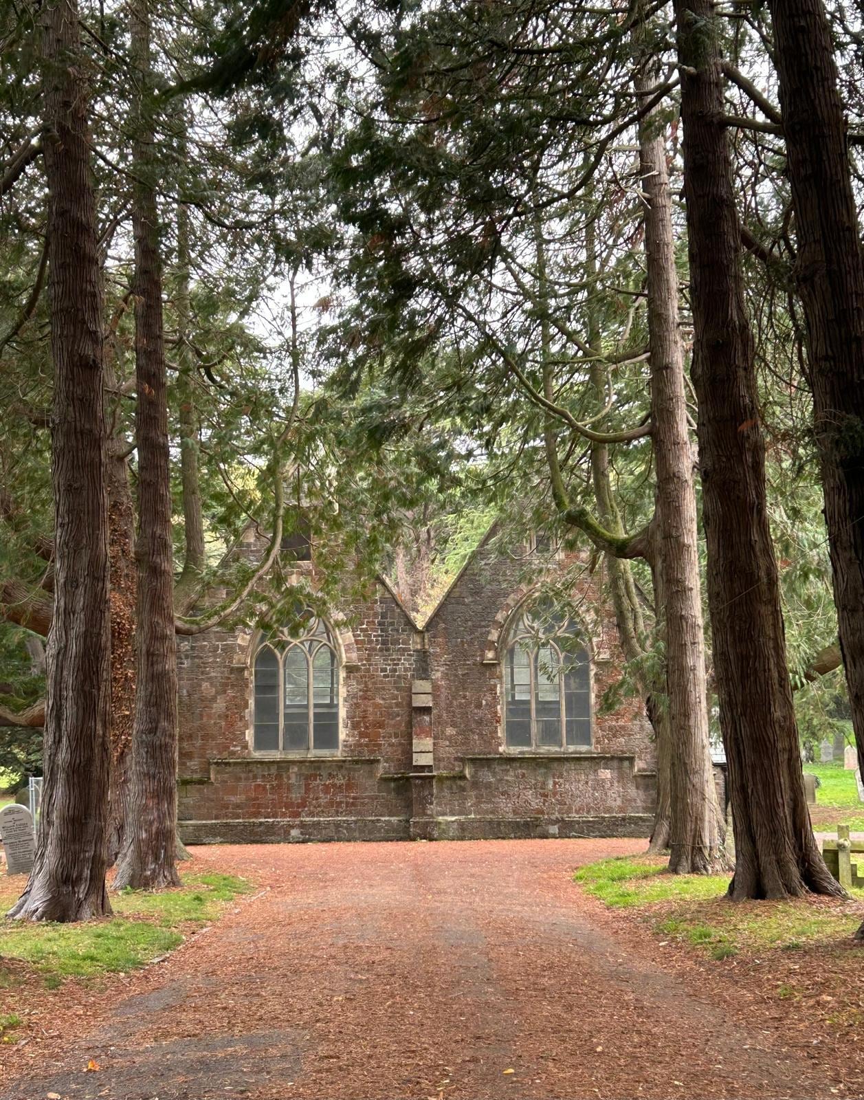 Beautiful surroundings but if you park under the tall pines, expect the birds to use your vehicle as a toilet
