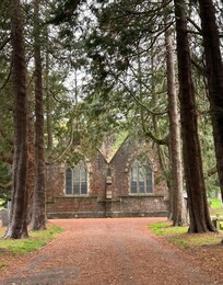 Beautiful surroundings but if you park under the tall pines, expect the birds to use your vehicle as a toilet