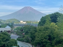 View from the room.