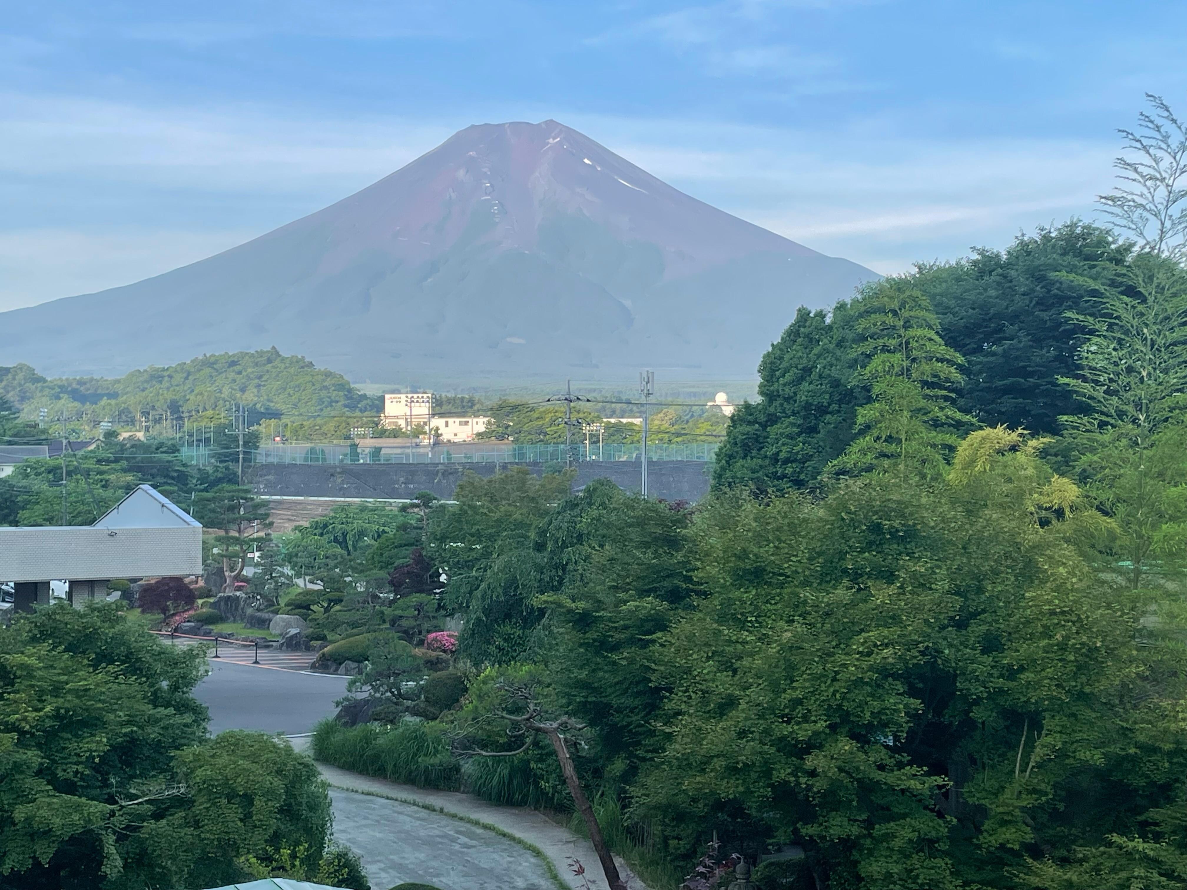 View from the room.