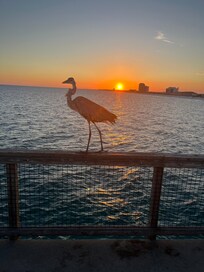 Sunset on pier
