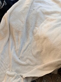 Towel after hanging on patio drying rack