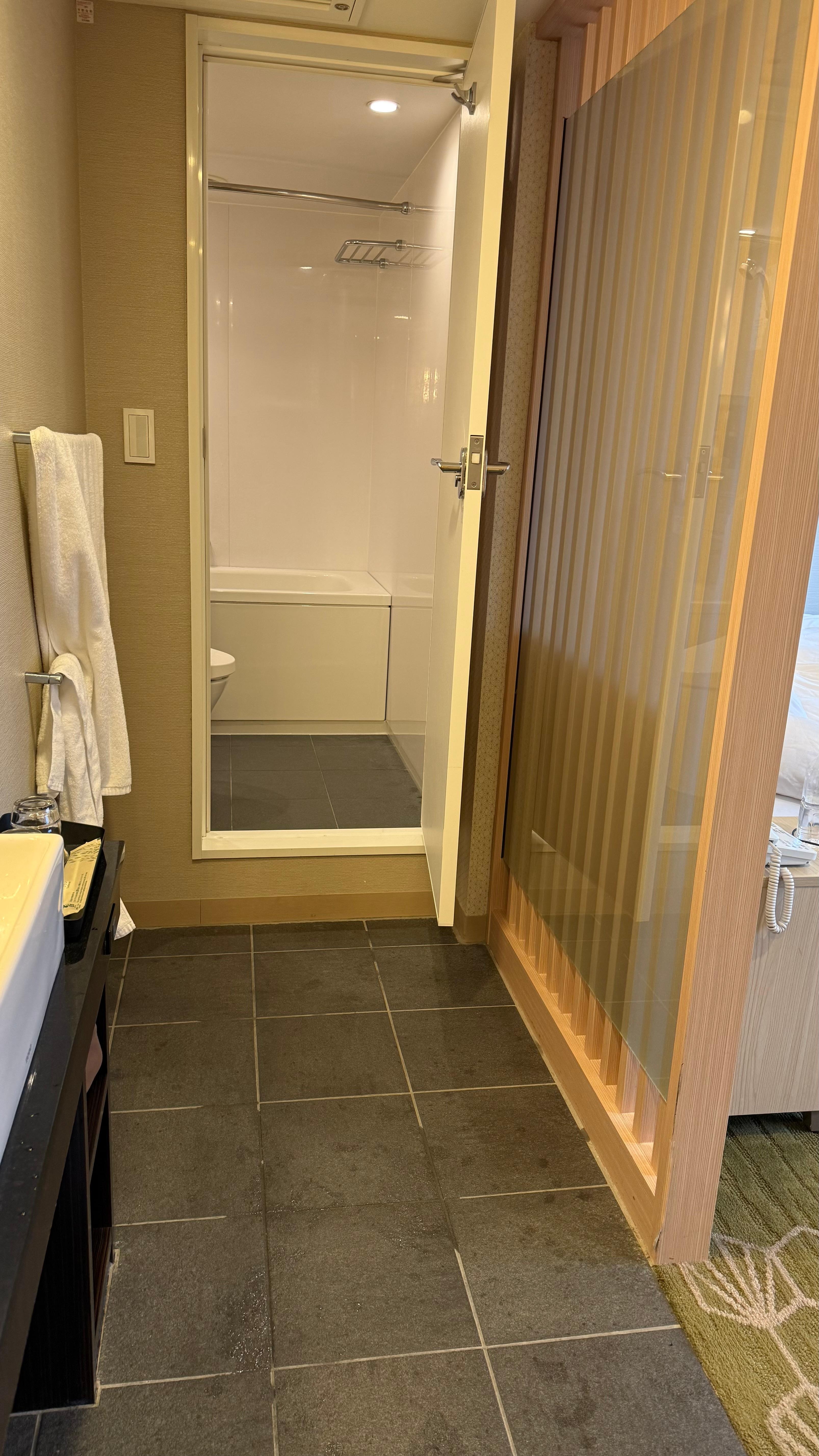 Bathroom has a step. If you’re taller than 5’8” the shower head will be at your chest. You will not be able to shower comfortably in here. A sliding door  separated the bedroom from the entrance/sink causing the wasted space. 