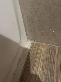 This is gunk build-up in a corner of the bathroom