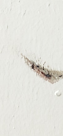 Hundreds of mosquitoes in the balcony