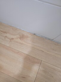 More roaches..lots more of them throughout the unit on the 16th of 17 floor building