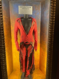 Steven Tyler Costume