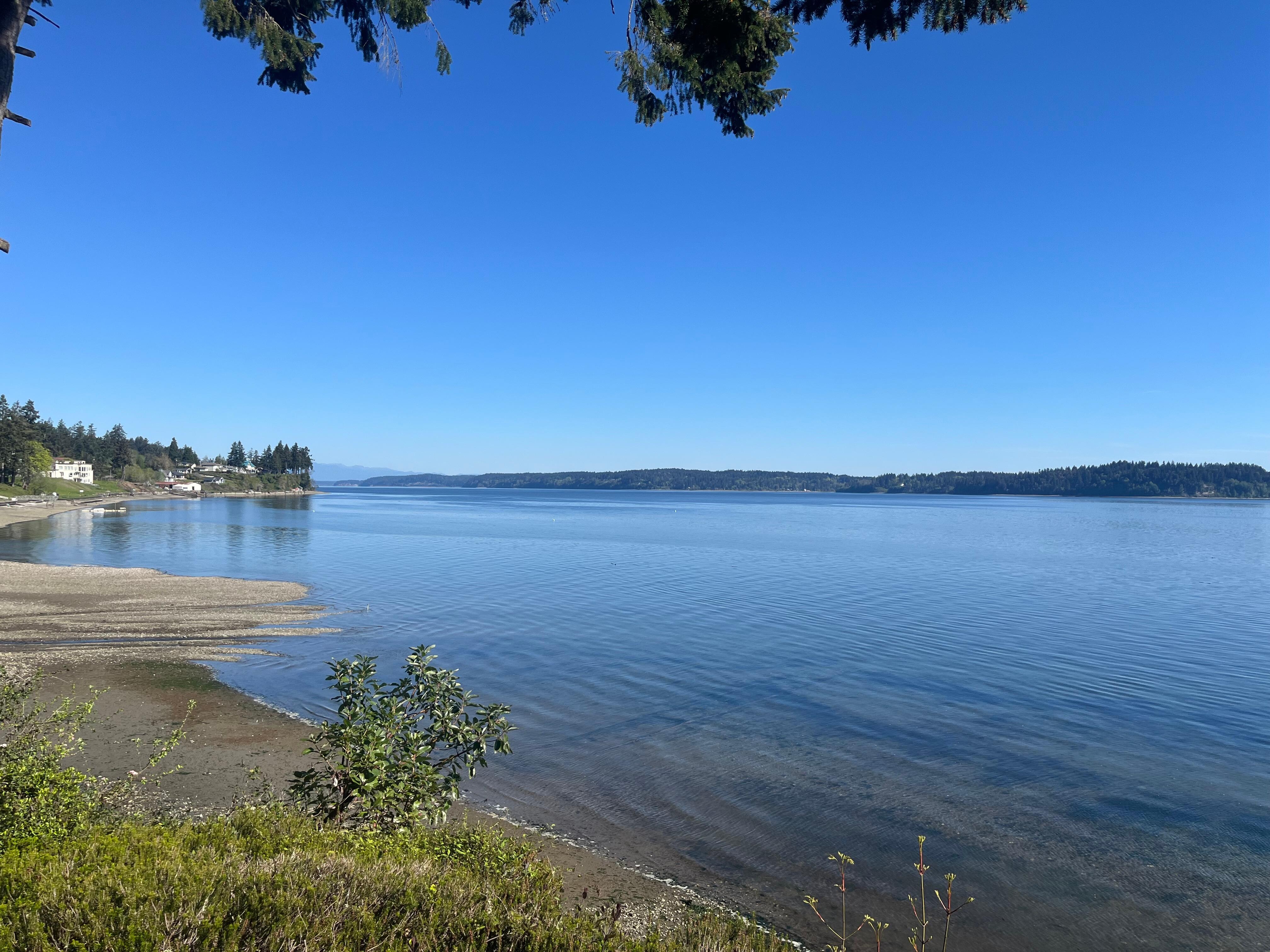 View from backyard 