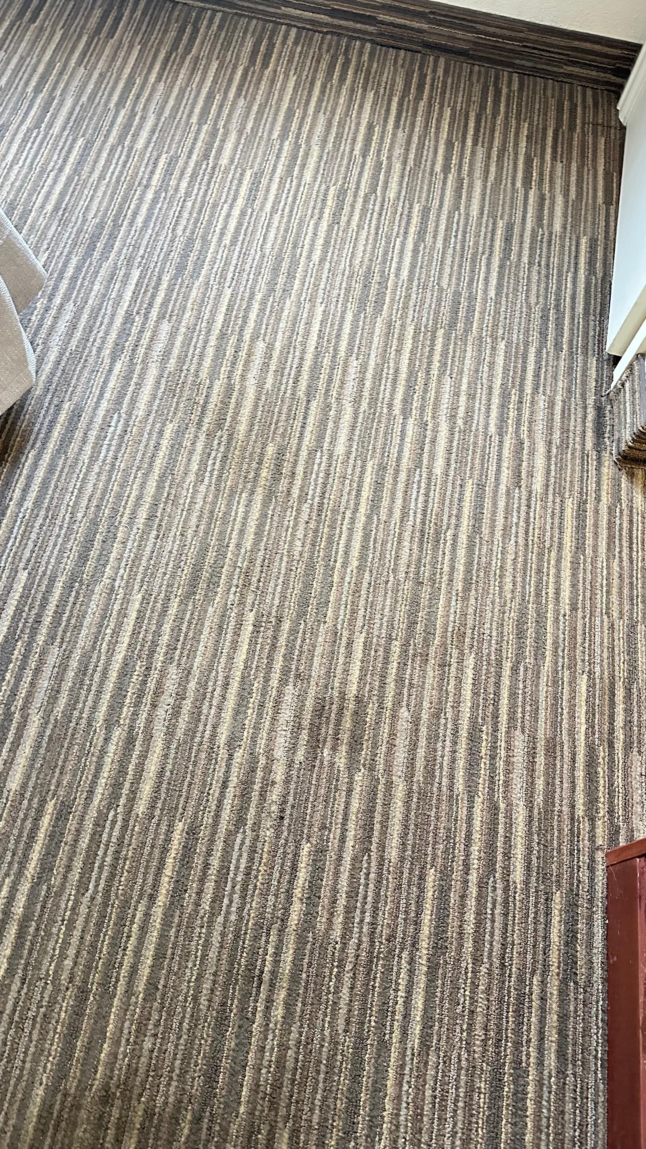 Pet pee stains smelly and dirty 
