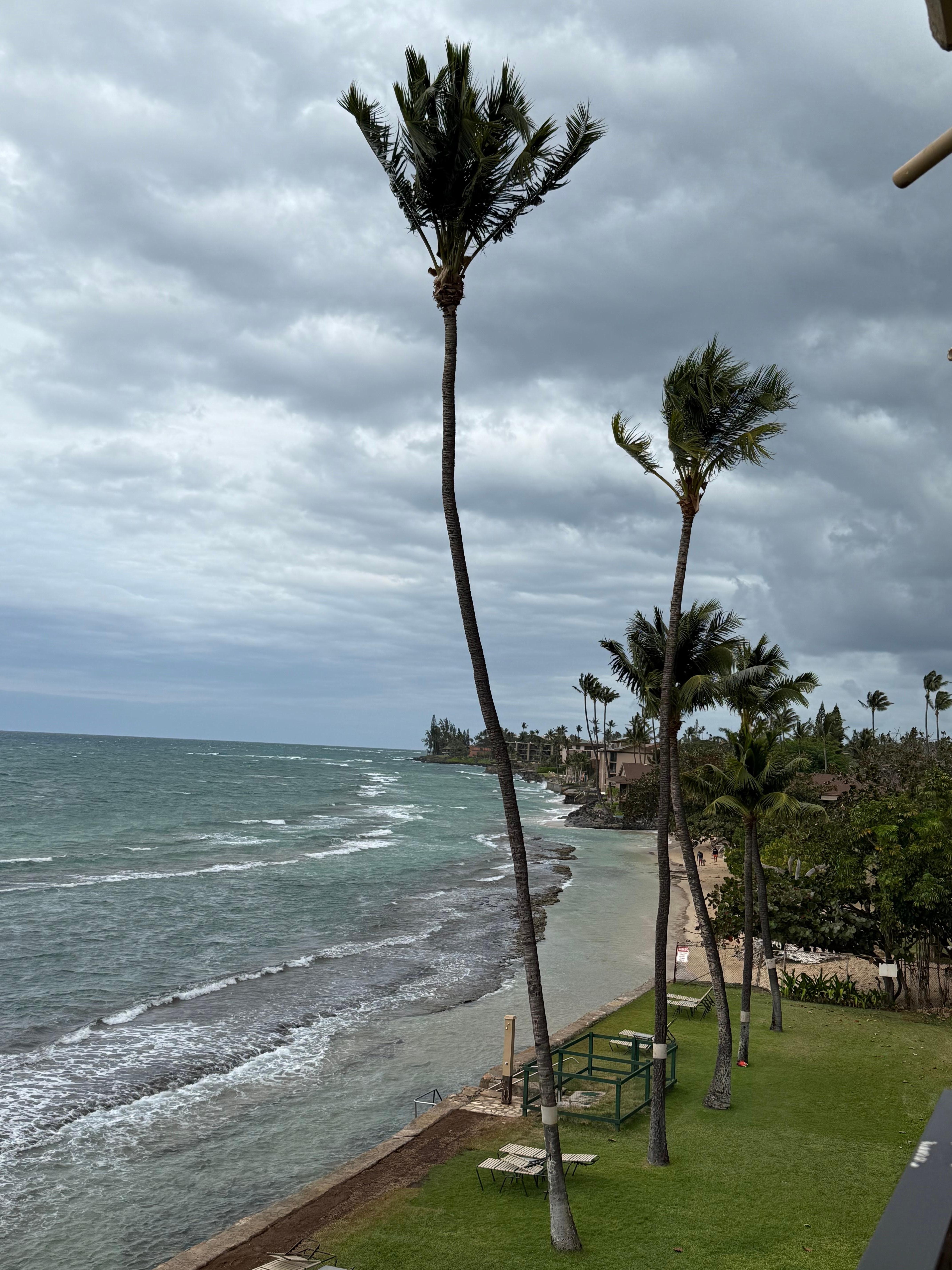 A view to the right. 