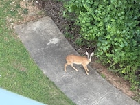 Looking down from the balcony.