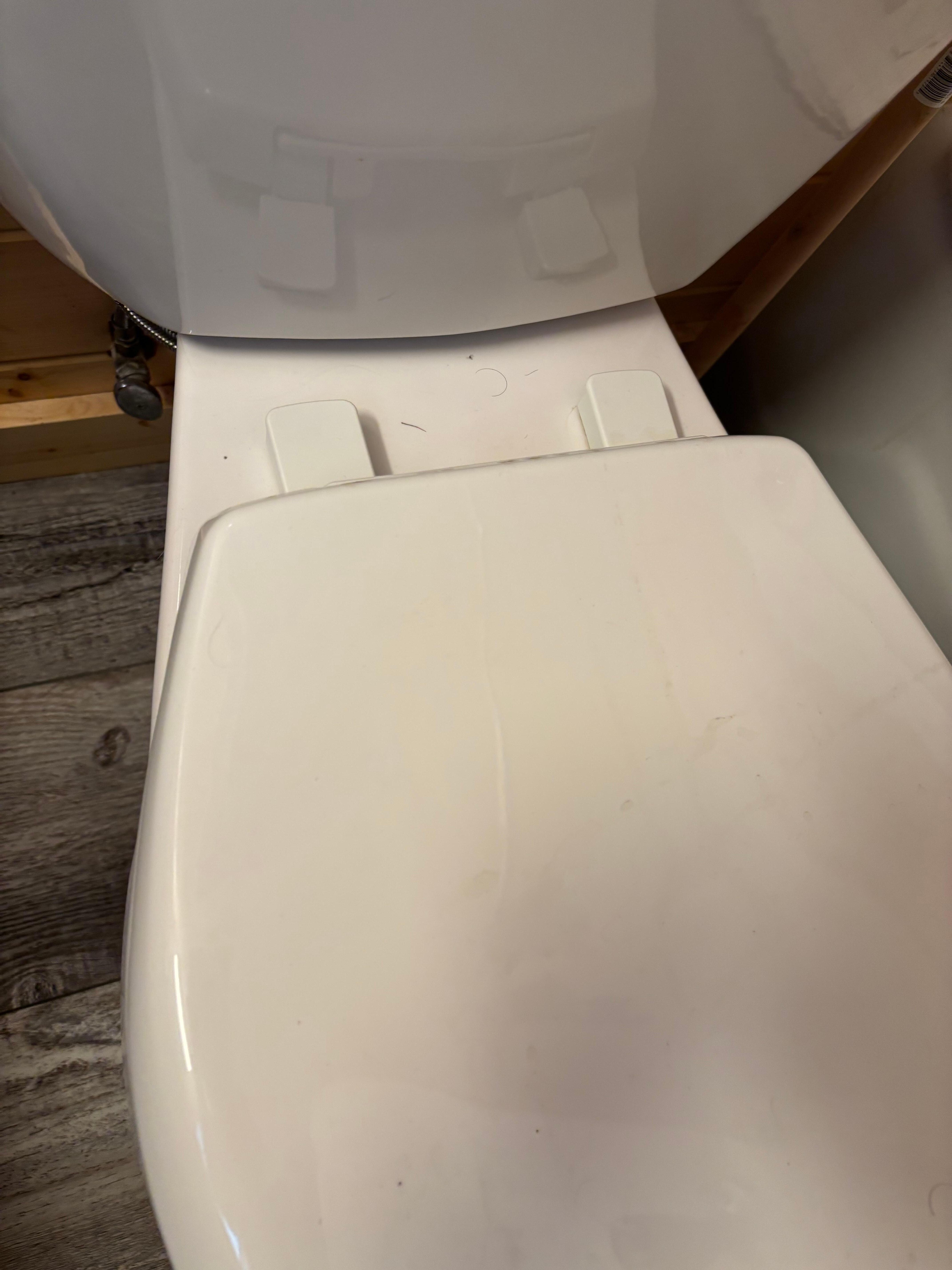 Hairy, dirty toilet
