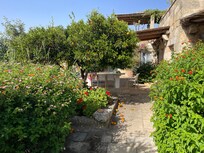 Flowers in garden - showing roof terrace above