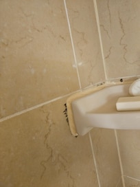 Old in shower