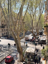 View right on the balcony