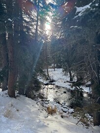 Morning sun rays along the creek.