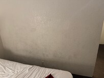 Fungi in walls of room.