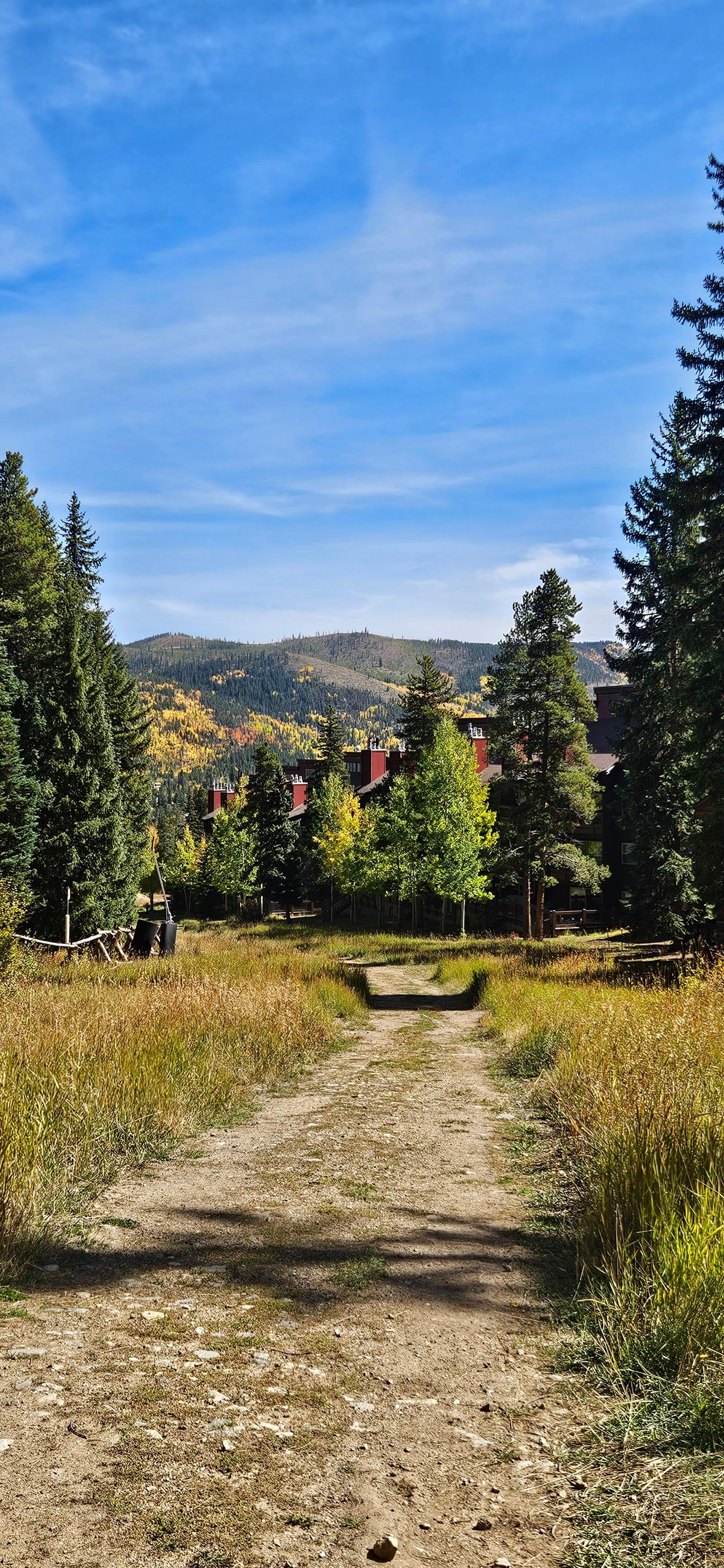 The path behind the condo