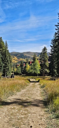 The path behind the condo