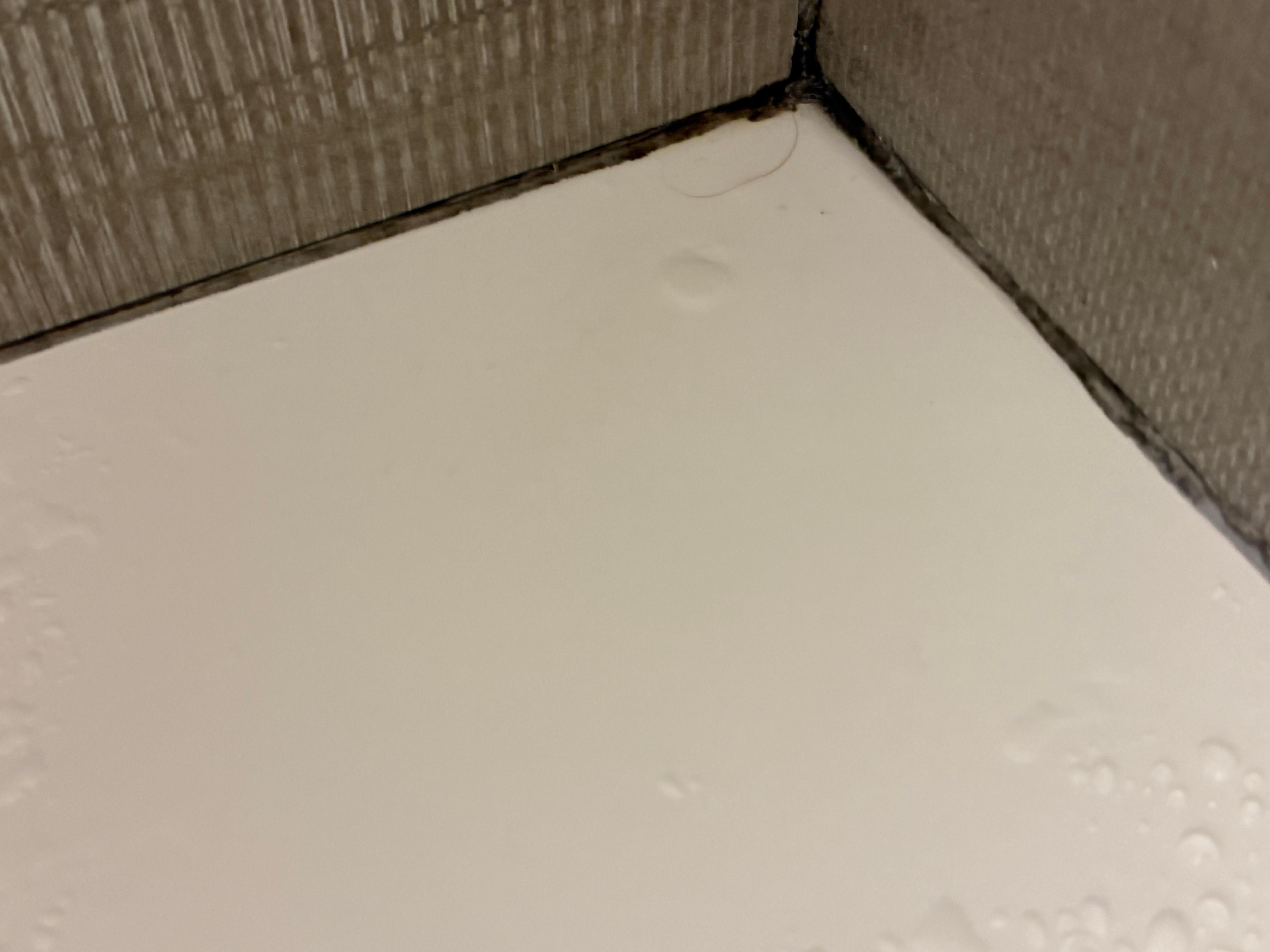 Nasty mildew on edge of shower. 