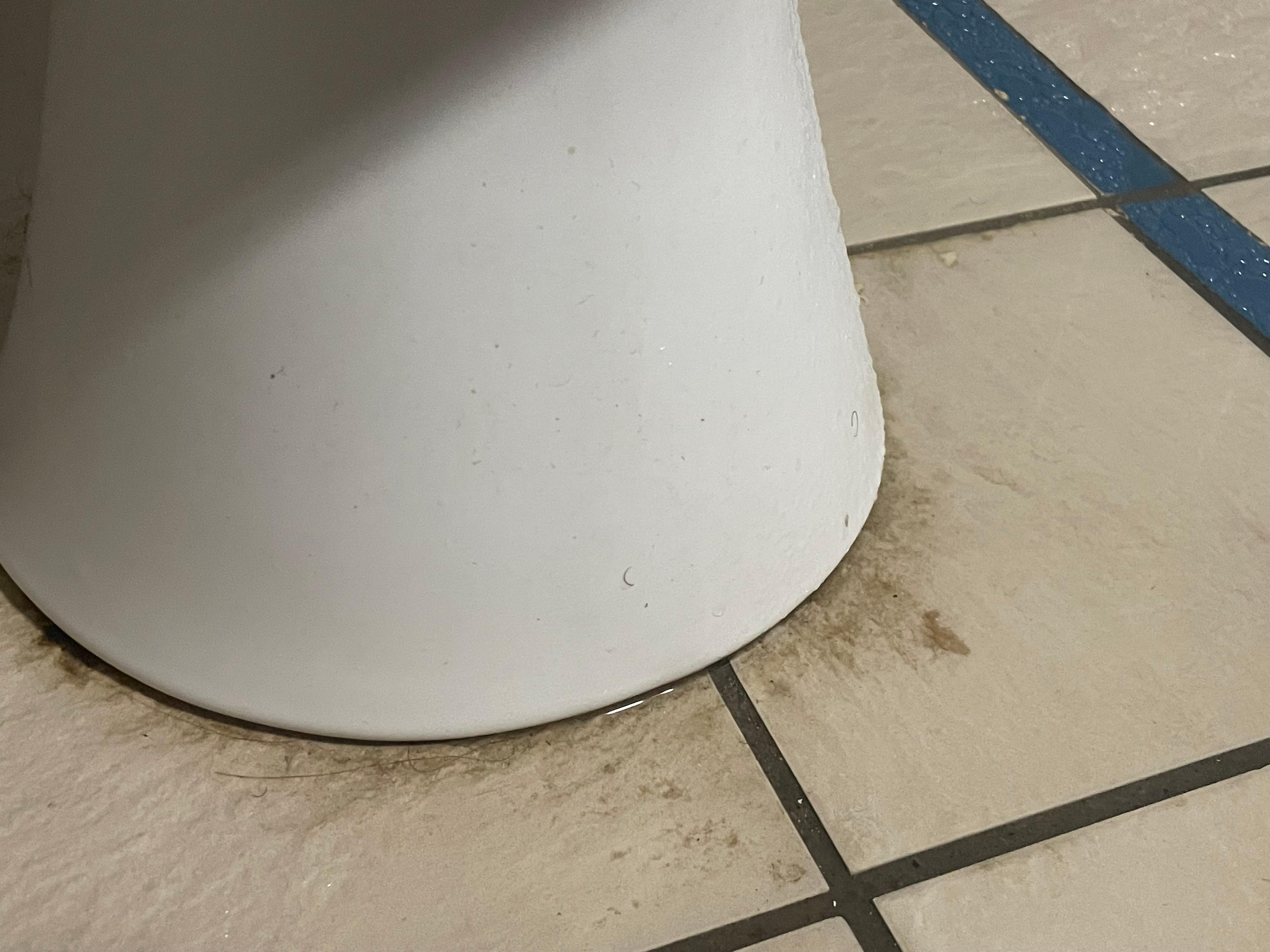 Dirty toilet