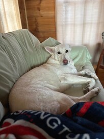 She said the couch was comfy! We brought sheets so she could be in the couch and bed!