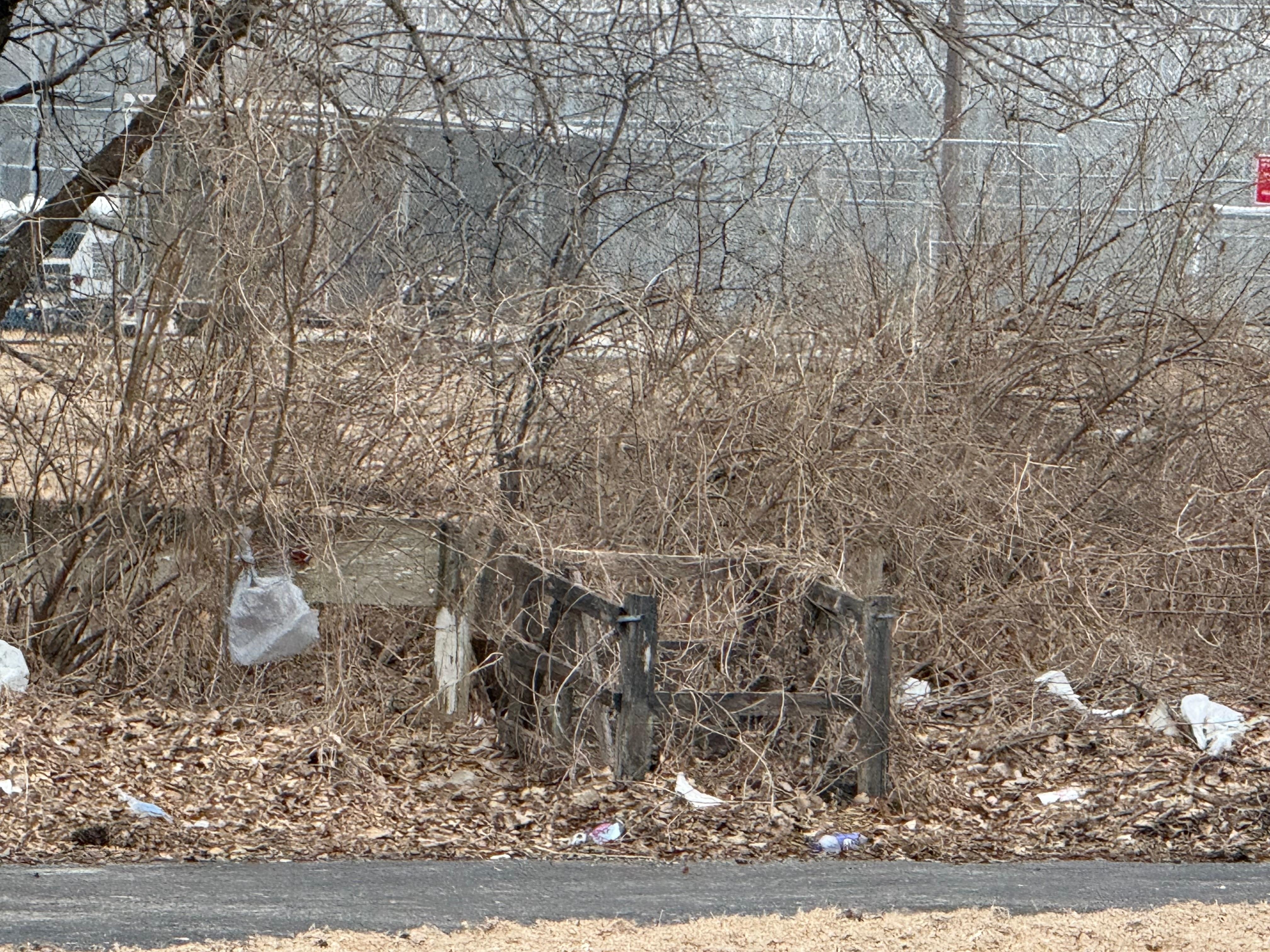 Trash behind motel.  Lots of cigarette butts and empty liquor bottles and cans strewn along the back door of motel.