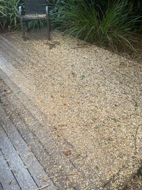 back garden full of wood chip and bird droppings