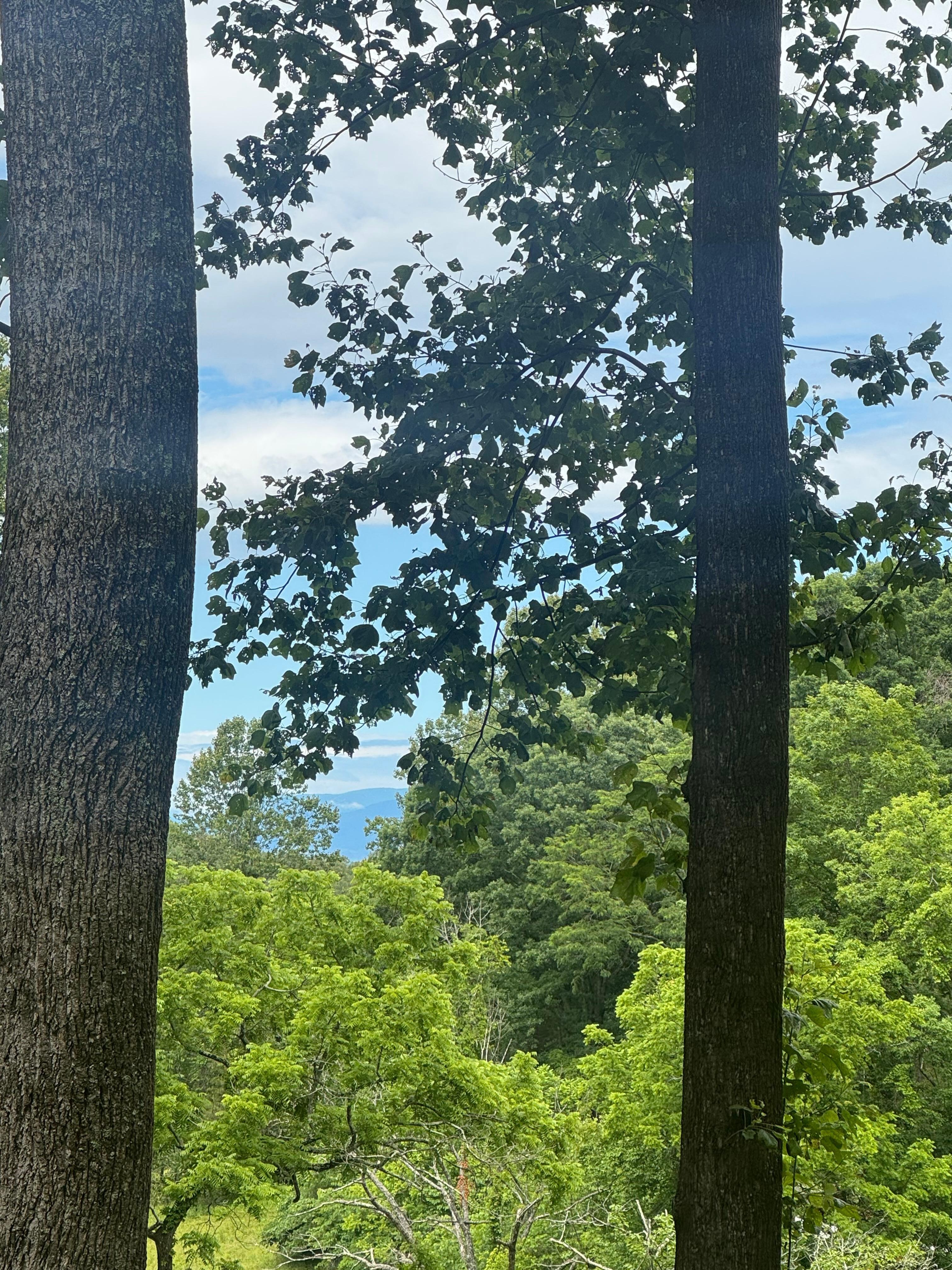 Awesome views